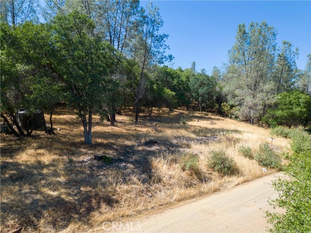 Detail Gallery Image 21 of 28 For 467 Condor Rd, Cherokee,  CA 95965 - – Beds | – Baths