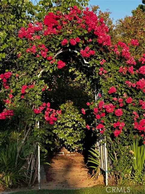 Detail Gallery Image 58 of 63 For 10684 Lakeview Rd, Yucaipa,  CA 92399 - 4 Beds | 3 Baths