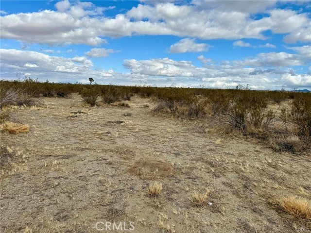 Detail Gallery Image 2 of 5 For 0 Dos Palmas Ave, Pinon Hills,  CA 92372 - – Beds | – Baths