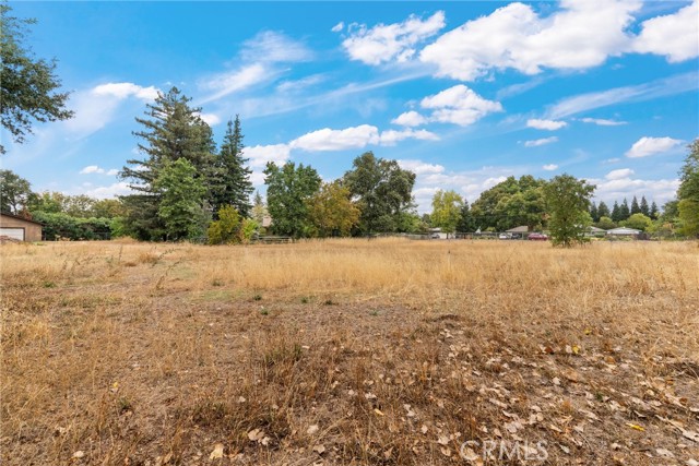55 Roseanna Court, Chico CA: https://media.crmls.org/medias/d46f95b6-8657-4996-941c-efd39b59031a.jpg