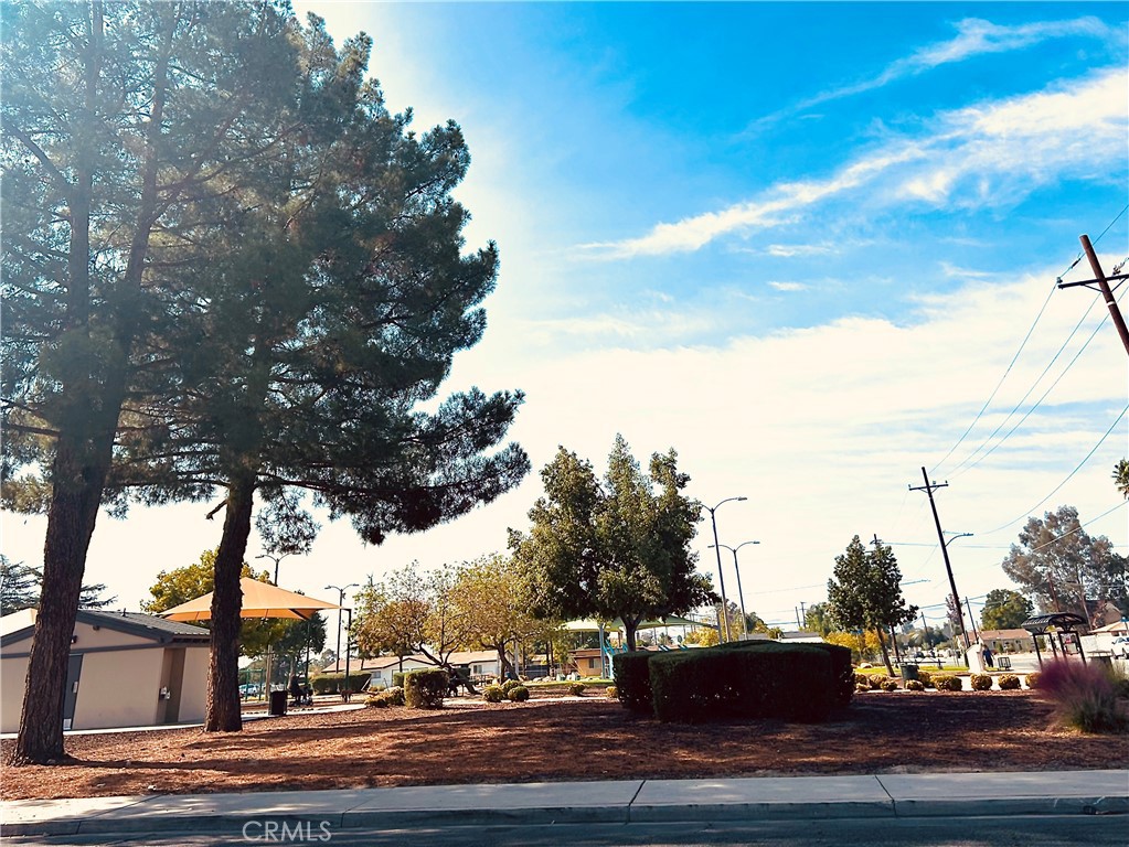 MLS #SW25256203 image #8