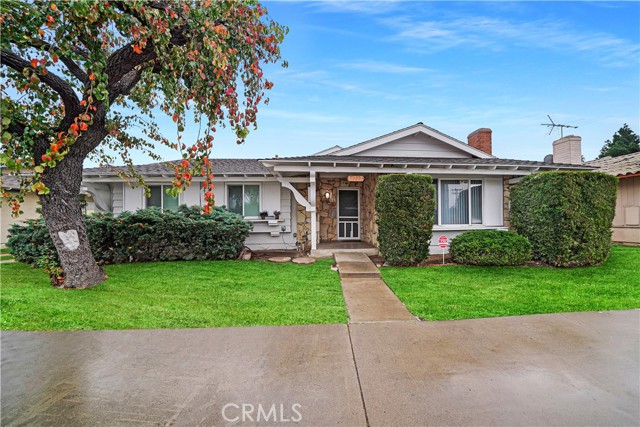 Front Image Thumbnail for CROC26021617