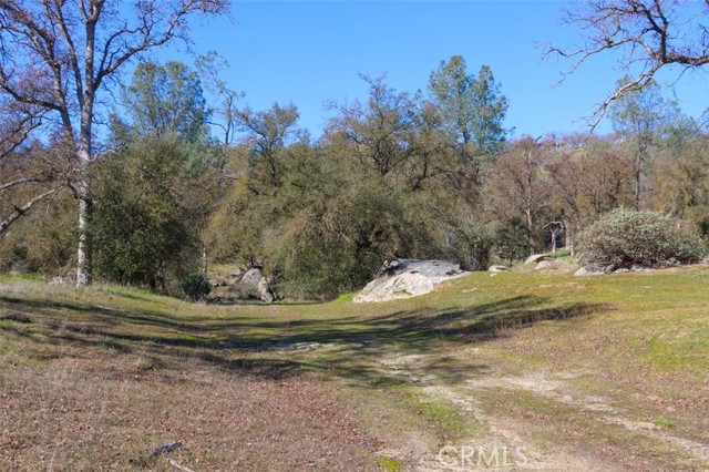 Detail Gallery Image 2 of 24 For 0 6.48 Ac Long Hollow Dr, Coarsegold,  CA 93614 - – Beds | – Baths