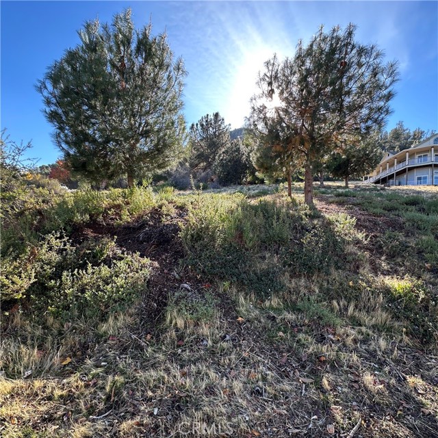 Detail Gallery Image 6 of 8 For 7826 Evergreen, Kelseyville,  CA 95451 - – Beds | – Baths