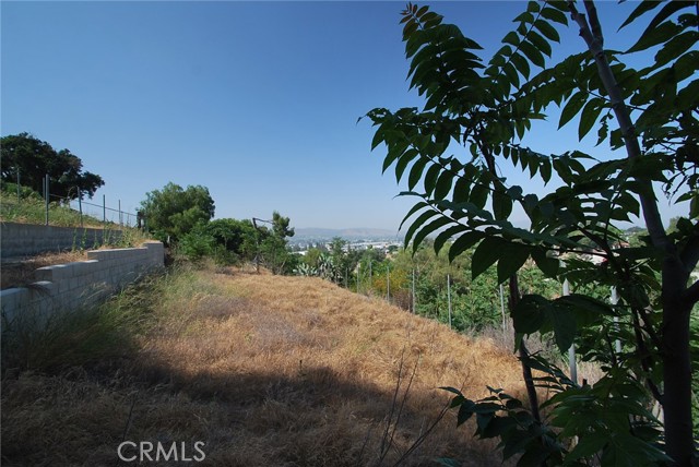 View from the undeveloped top lot