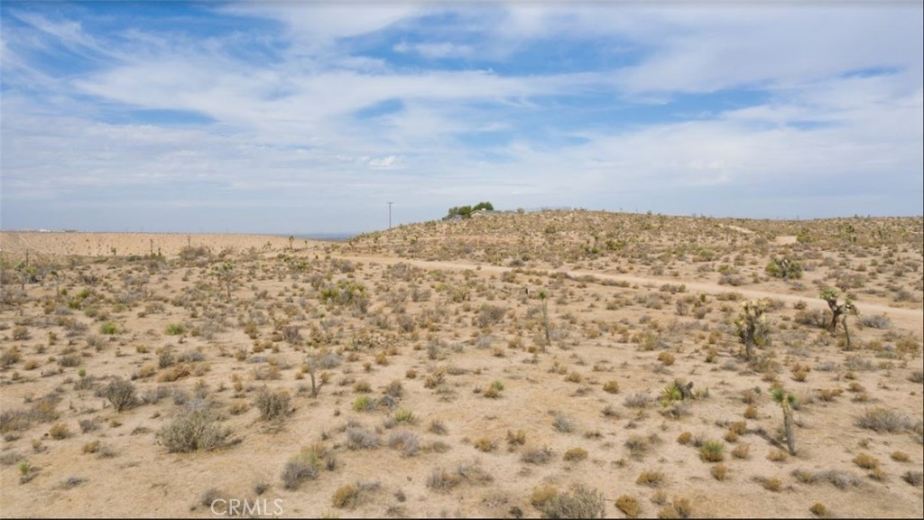 Image 14