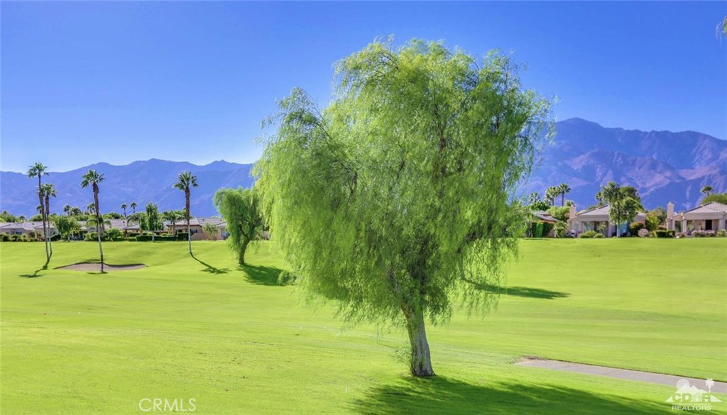 MLS #217002648DA image #1