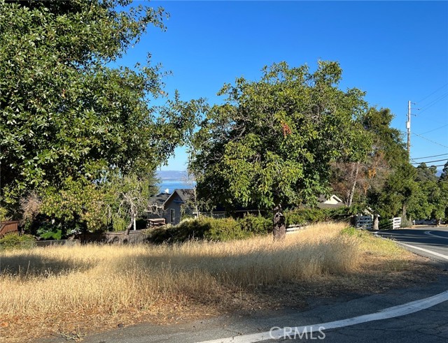 Detail Gallery Image 3 of 6 For 7190 Riviera Heights, Kelseyville,  CA 95451 - – Beds | – Baths