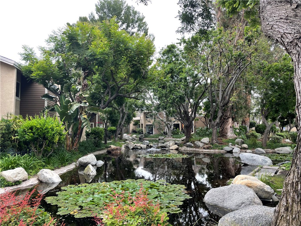 https://media.crmls.org/medias/d493108f-82e6-4b22-981c-342e06315171.jpg?preset=X-Large