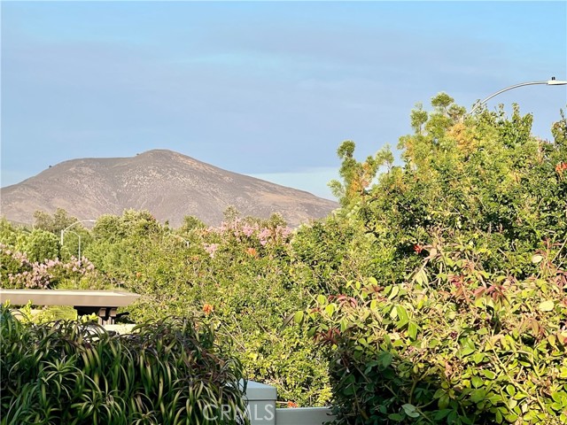 Detail Gallery Image 40 of 47 For 30587 Aspen Glen St, Murrieta,  CA 92563 - 4 Beds | 3 Baths