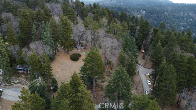701 Preston Drive, Running Springs CA: https://media.crmls.org/medias/d4a0e1c3-e4a1-491d-b160-bc5d111c2142.jpg