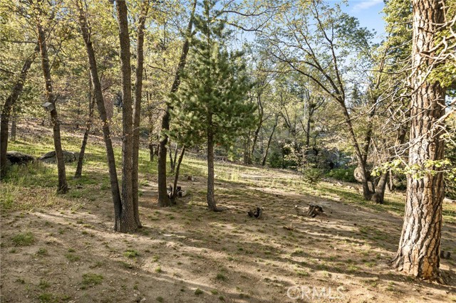 33133 Ridge Road, Arrowbear CA: https://media.crmls.org/medias/d4a307fb-b32c-4d27-b842-0b5f1676042d.jpg