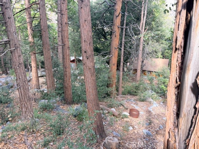 Detail Gallery Image 2 of 5 For 40904 Spruce, Forest Falls,  CA 92339 - – Beds | – Baths