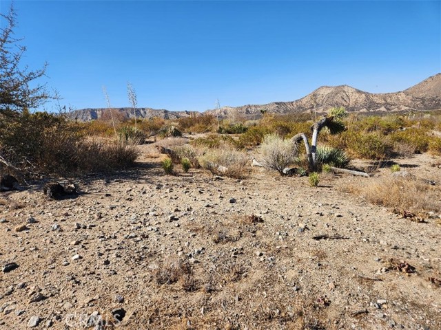 113 Stuveling, Phelan CA: https://media.crmls.org/medias/d4a77e75-aeca-4336-bba9-5ef7c3176a3d.jpg