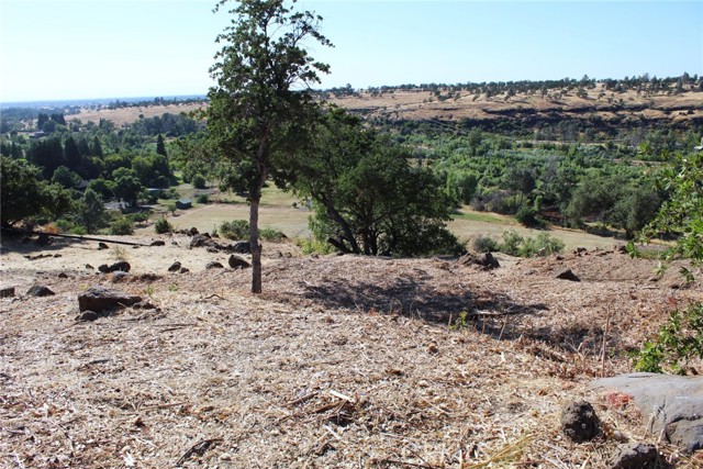 0 Rim Rock Drive, Chico, California 95928, ,Land,For Sale,0 Rim Rock Drive,CRPA23111697