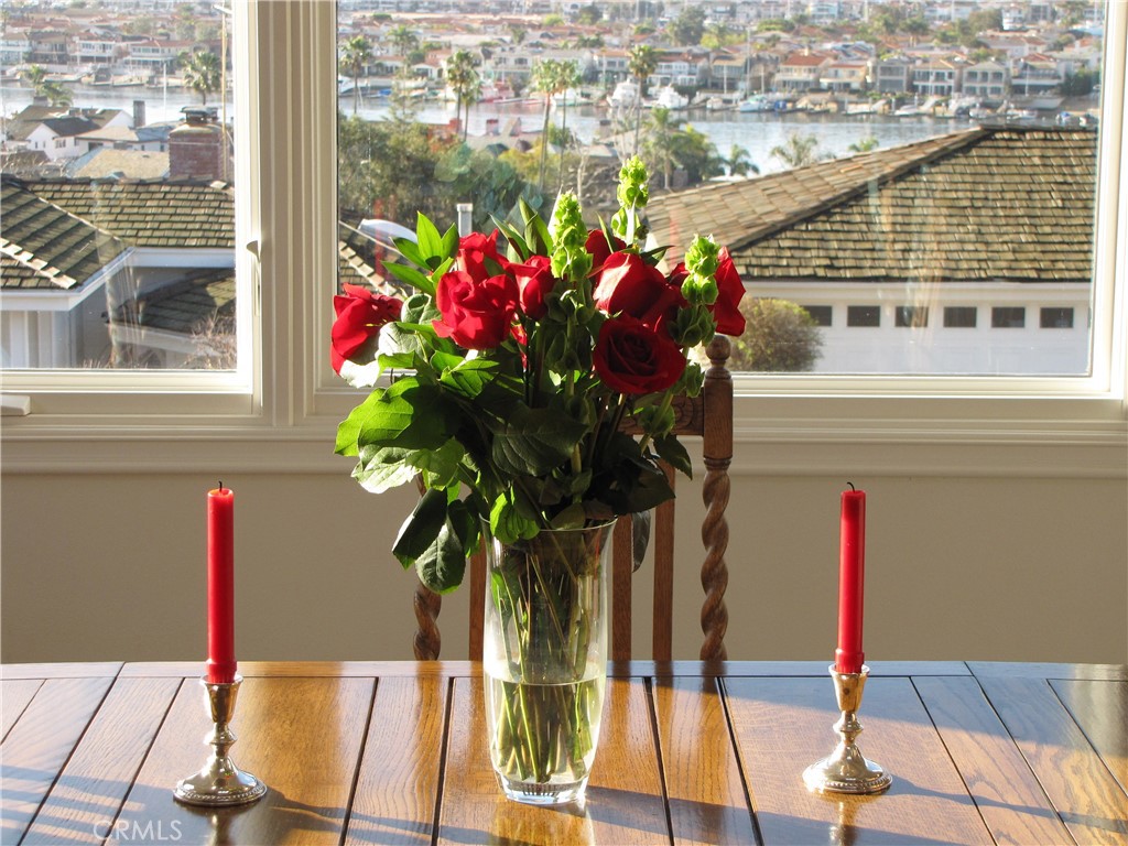 MLS #NP25272157 image #17