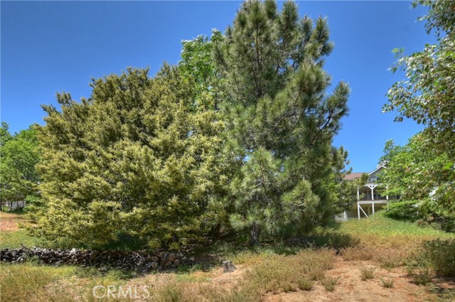 Detail Gallery Image 54 of 58 For 27760 Alpen Dr, Lake Arrowhead,  CA 92352 - 4 Beds | 3/1 Baths