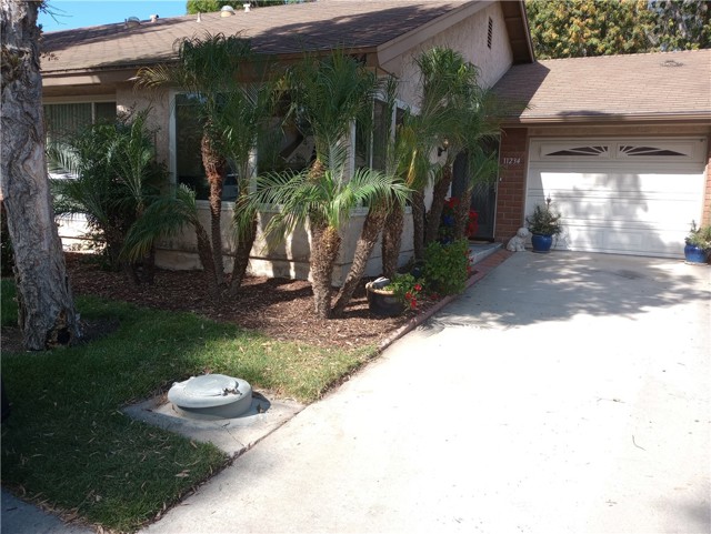 11234 Village 11 photo 2