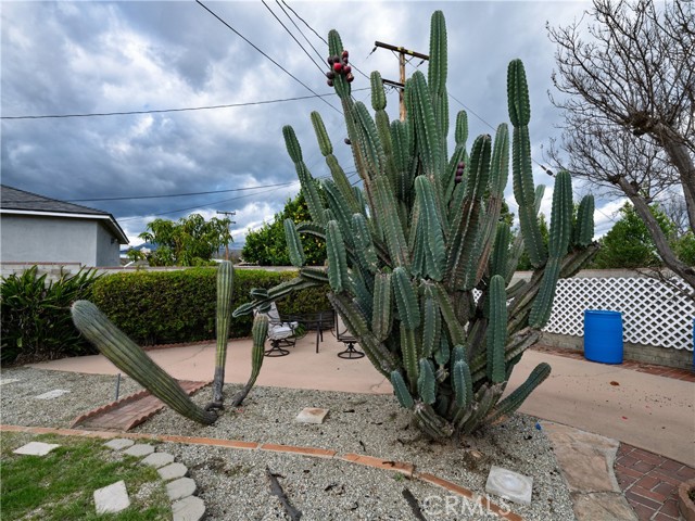 Detail Gallery Image 50 of 58 For 1238 N College, Ontario,  CA 91764 - 3 Beds | 2 Baths