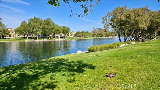 39977 New Haven Rd., Temecula CA: https://media.crmls.org/medias/d4b32bcf-93ae-4b2a-8e74-fcdcab7729eb.jpg