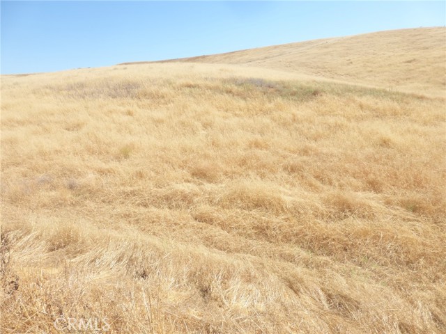 Detail Gallery Image 34 of 42 For 0 Douglas Rd. (Lots 40-43), San Miguel,  CA 93451 - – Beds | – Baths