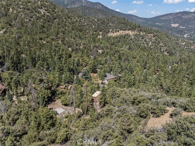 1320 Woodland Drive, Pine Mountain Club CA: https://media.crmls.org/medias/d4b940e1-4816-49b8-9937-e7421557cec7.jpg