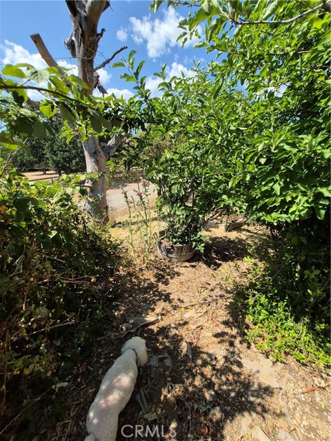 Detail Gallery Image 42 of 62 For 2940 Blackfeet Trl, Clearlake Oaks,  CA 95423 - 3 Beds | 2 Baths