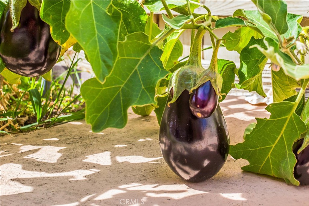 https://media.crmls.org/medias/d4bce58d-6c63-46df-a02a-413653b14bb7.jpg?preset=X-Large