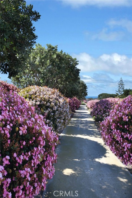Detail Gallery Image 36 of 45 For 23711 Colima Bay, Dana Point,  CA 92629 - 4 Beds | 3 Baths