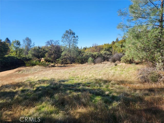 Front Image Thumbnail for CROR25250560