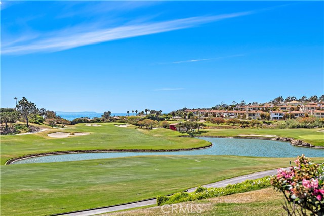 Detail Gallery Image 55 of 58 For 8 Forest Hills Ct, Dana Point,  CA 92629 - 2 Beds | 2 Baths