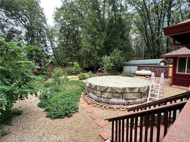 Back yard