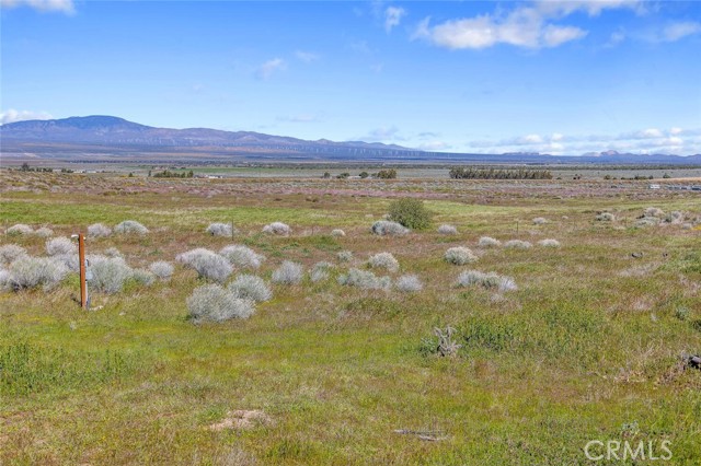 Detail Gallery Image 34 of 57 For 47721 222nd, Lancaster,  CA 93536 - 3 Beds | 2 Baths