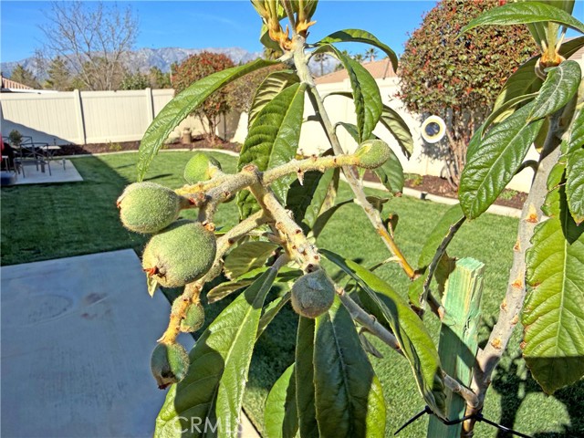 Detail Gallery Image 33 of 34 For 1334 Clover, Beaumont,  CA 92223 - 3 Beds | 2 Baths