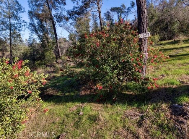 Detail Gallery Image 16 of 18 For 3522 Filmore Ave, Clearlake,  CA 95422 - – Beds | – Baths