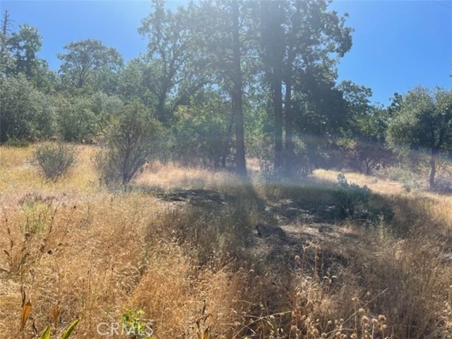 0 Peckinpah Acres Drive, North Fork, California 93643, ,Land,For Sale,0 Peckinpah Acres Drive,CRFR24049798