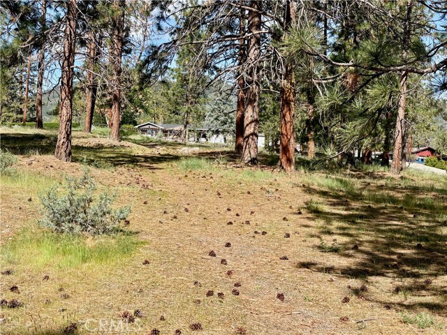 Image 19 of 54 For 0 S Lang Way