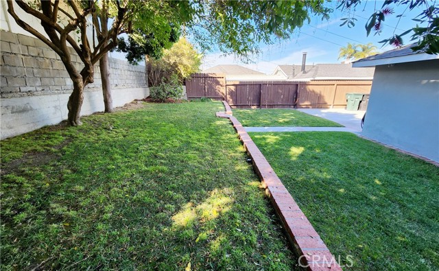 Grassy Backyard