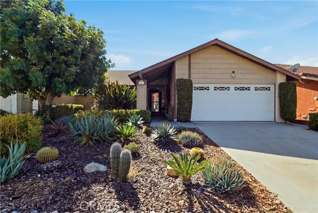2420 Pauline Street photo 27