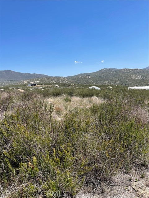 35410 Willow Creek Road, Hemet, California 92544, ,Land,For Sale,35410 Willow Creek Road,CRSW24048760