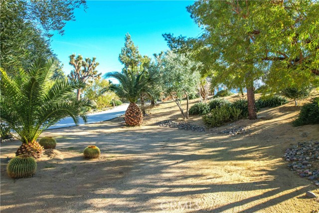 Detail Gallery Image 11 of 65 For 61218 Sandalwood Trl, Joshua Tree,  CA 92252 - 3 Beds | 2 Baths