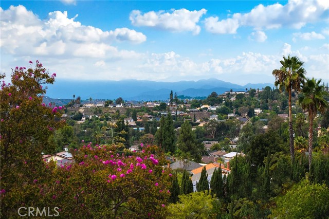 529 Bregante, Diamond Bar CA: https://media.crmls.org/medias/d4ea6496-c5bc-4eec-9851-afa6b9e94185.jpg