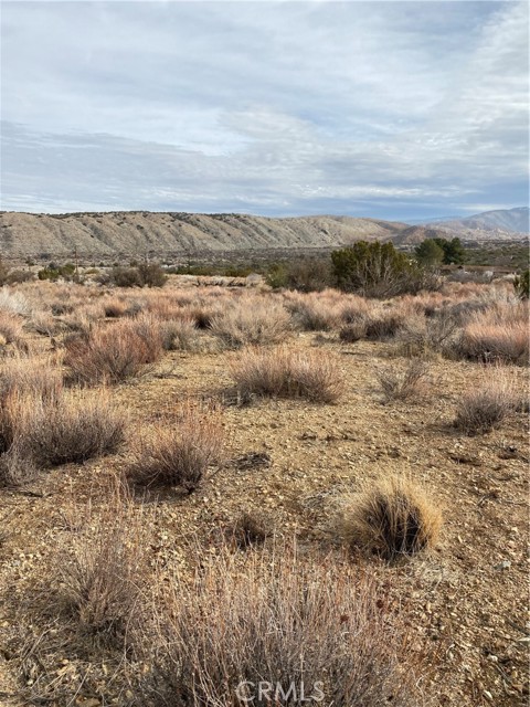 Detail Gallery Image 13 of 15 For 14 E Vac/Z14e Lepage Ranch Rd/Vic,, –,  CA 93543 - – Beds | – Baths