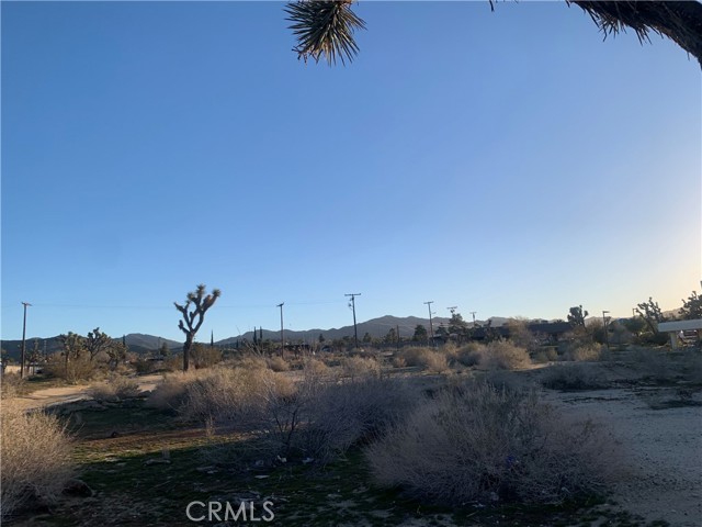 57335 Twentynine Palms, Yucca Valley, California 92284, ,Land,For Sale,57335 Twentynine Palms,CRNP23100972