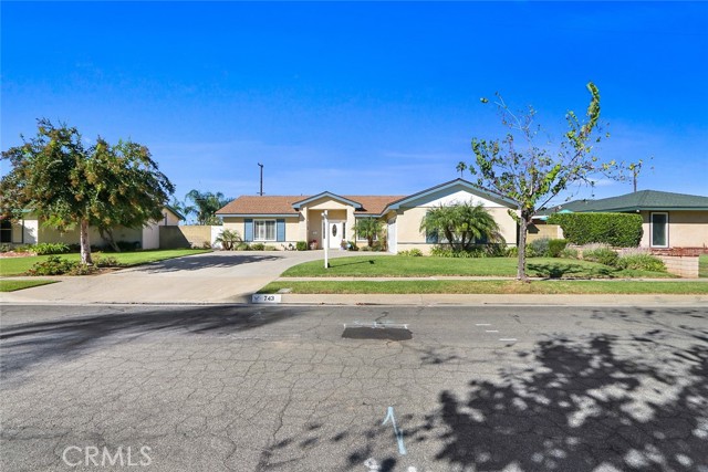 743 Churchill photo 2