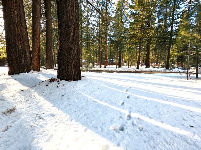 Detail Gallery Image 10 of 19 For 1662 Maiden Hair Ct, South Lake Tahoe,  CA 96150 - – Beds | – Baths