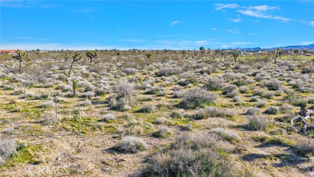 Detail Gallery Image 13 of 14 For 11982 Redwood Rd, Pinon Hills,  CA 92372 - – Beds | – Baths