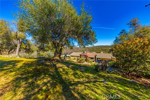 Detail Gallery Image 38 of 75 For 44755 Savage Rd, Coarsegold,  CA 93614 - 3 Beds | 2 Baths