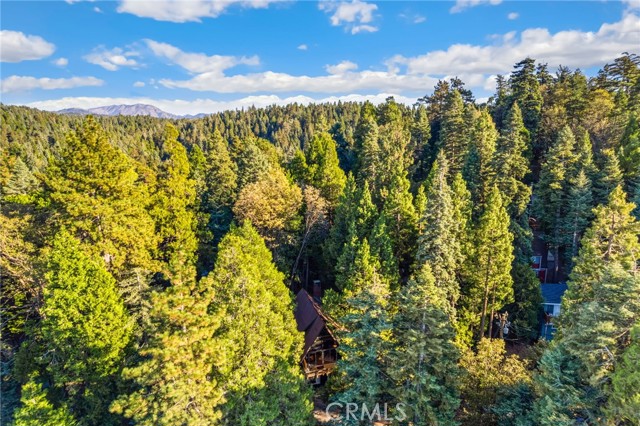 641 Buckingham, Lake Arrowhead, CA 92385