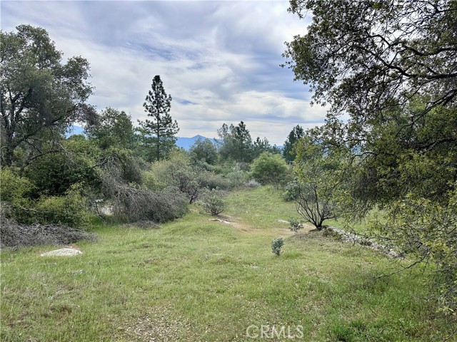 3038 Country Court, Mariposa CA: https://media.crmls.org/medias/d501de57-72bf-432f-b8ad-9bf1c6733fbe.jpg